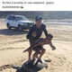 Illustration for article titled Dumbass Surfs a Turtle